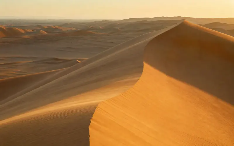 A wall of golden dunes in the Liwa desert